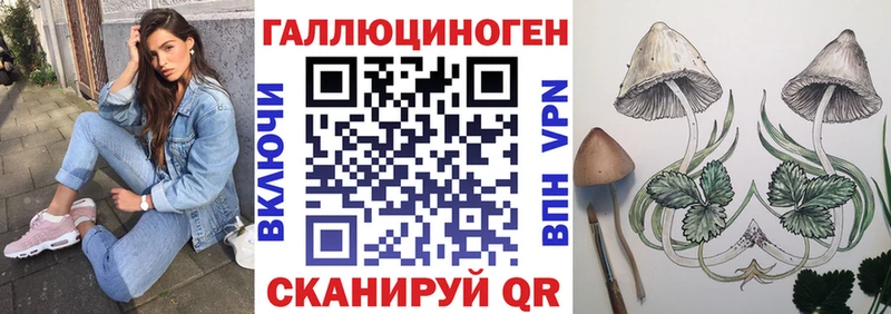 Псилоцибиновые грибы Psilocybe  где купить наркотик  Тавда 
